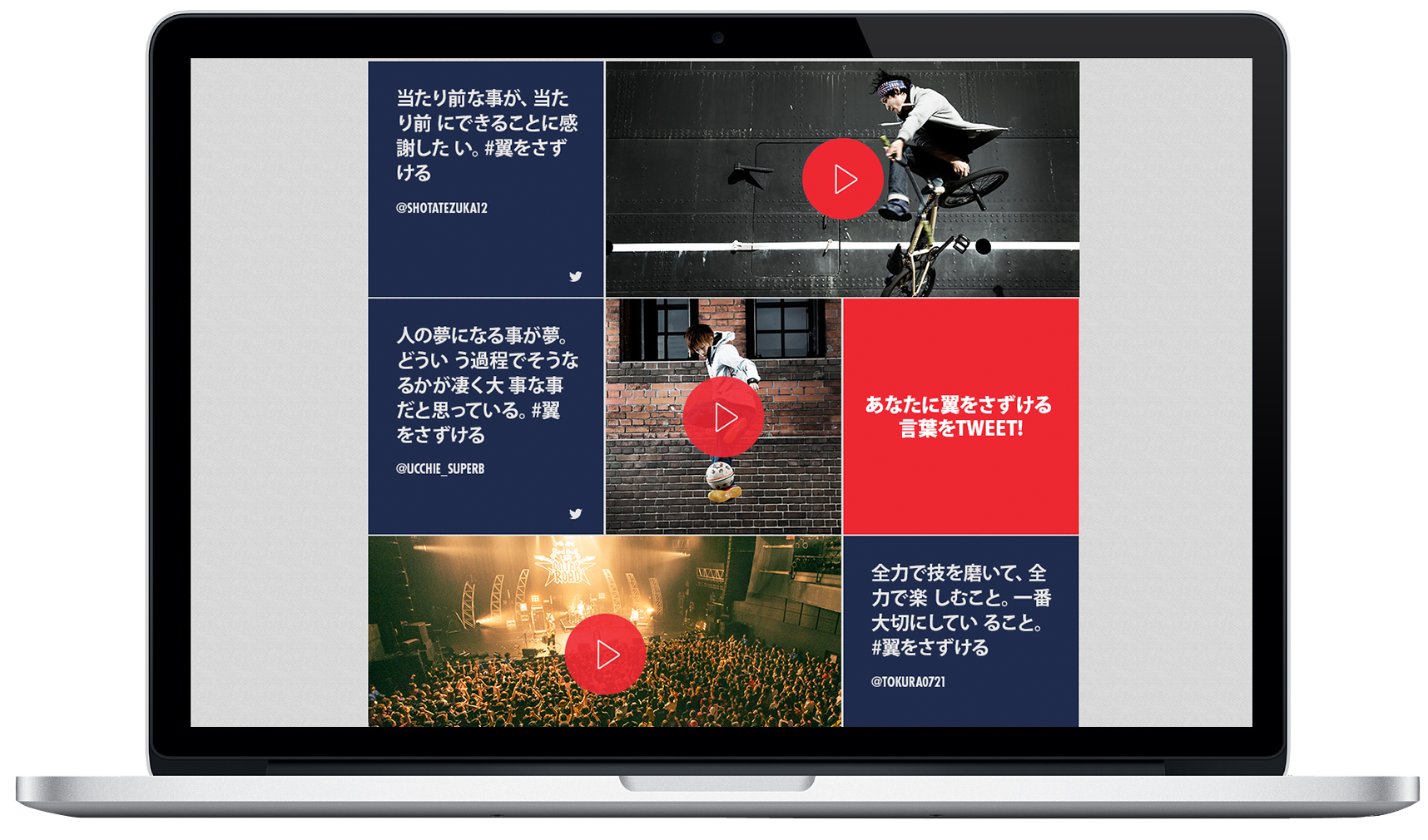 World of Red Bull 2013