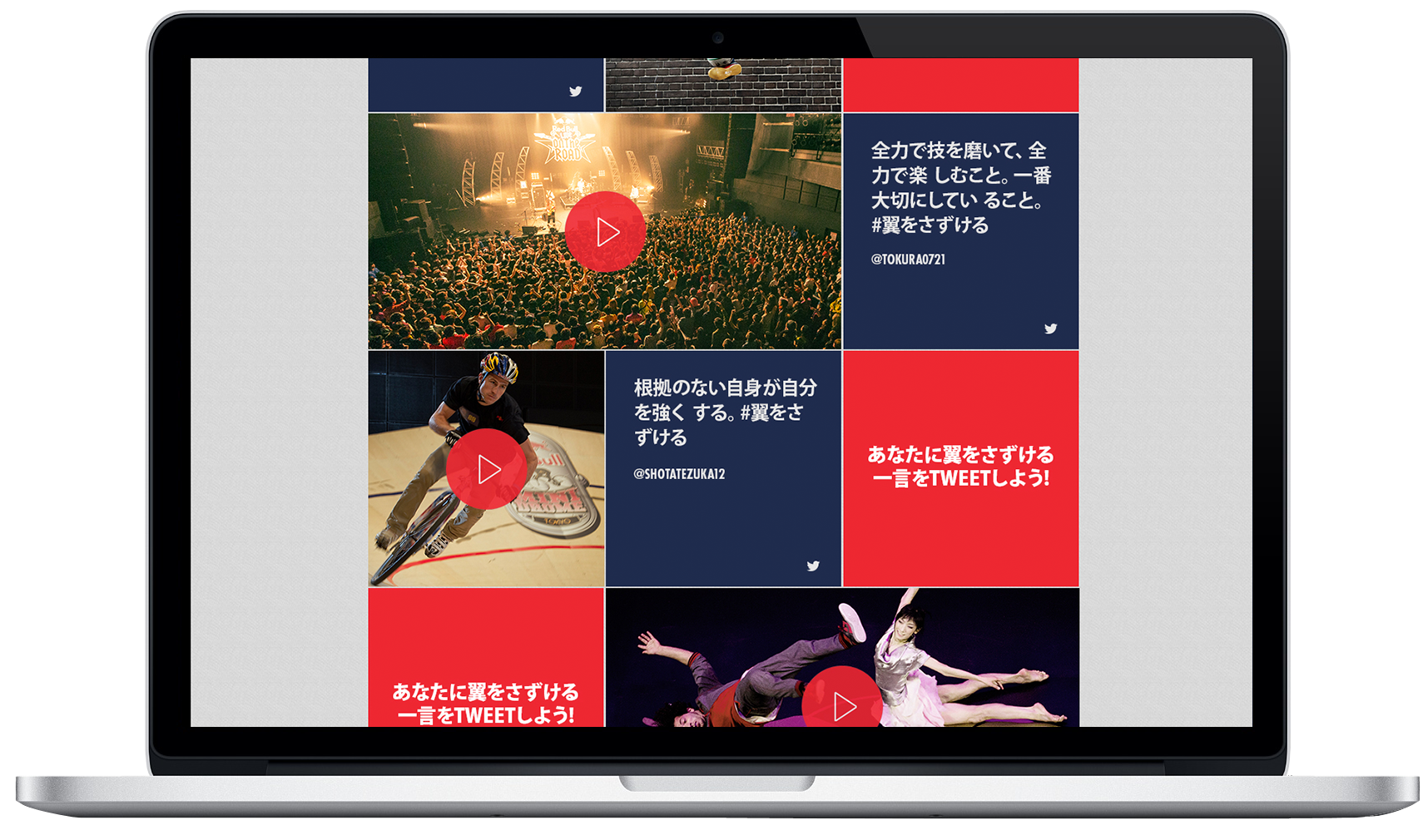 World of Red Bull 2013