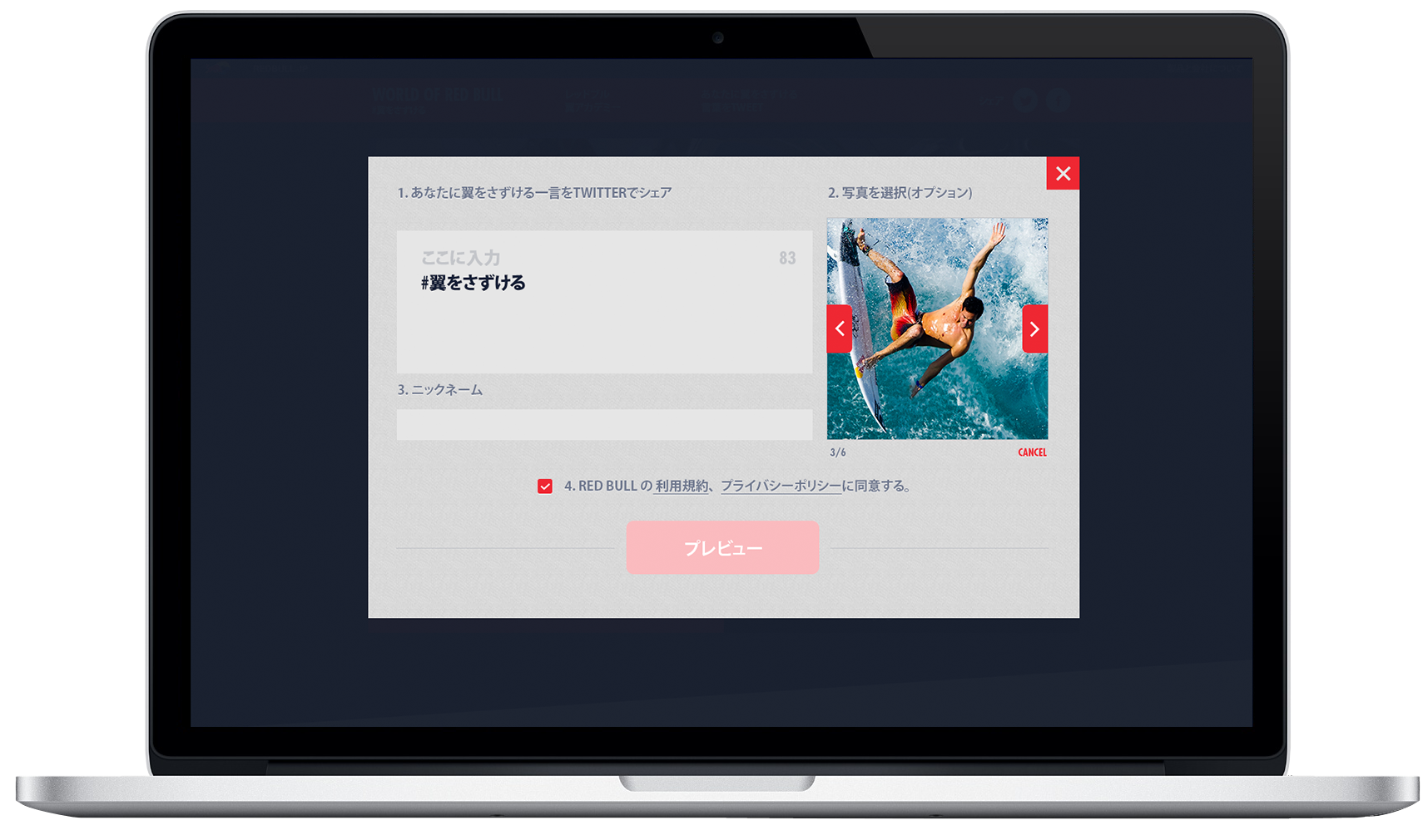 World of Red Bull 2013